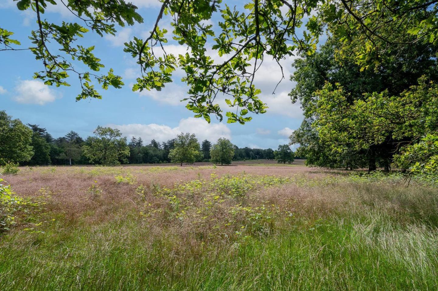 Landhuisje 31 'De Akkersteen' Bospark Ijsselheide Zwolle Hattemerbroek Extérieur photo